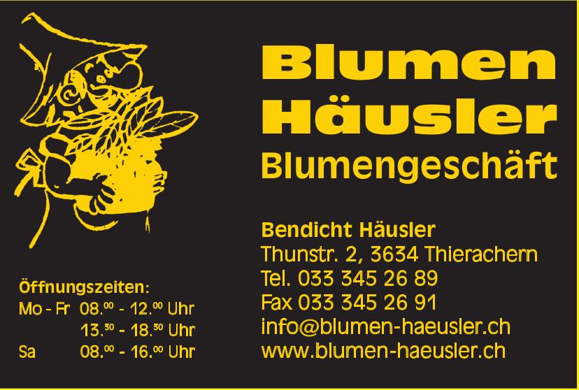 Blumen Häusler, Thierachern - Blumengeschäft