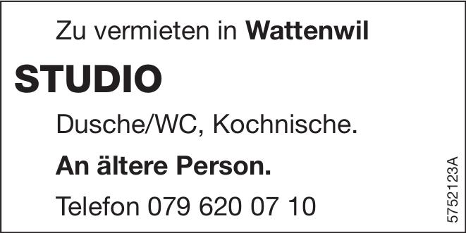 STUDIO, Studio Zimmer-Wohnung, Wattenwil, zu vermieten