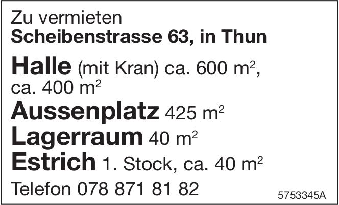 Lagerraum, Lagerraum Zimmer-Wohnung, Thun, zu vermieten