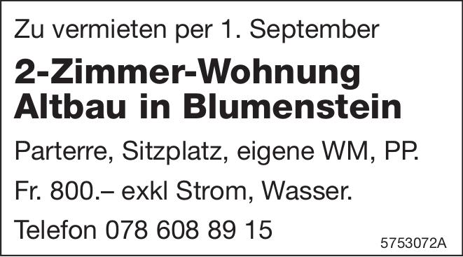 2-Zimmer-Wohnung Altbau in Blumenstein, zu vermieten