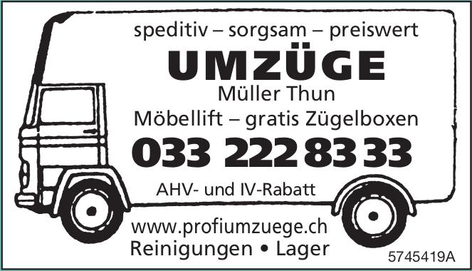 UMZÜGE Müller Thun, speditiv – sorgsam – preiswert