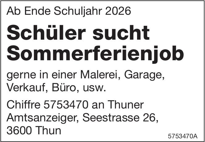 Schüler sucht Sommerferienjob, Sucht