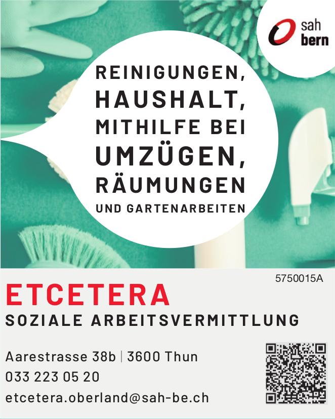 ETCETERA, Thun - REINIGUNGEN, HAUSHALT, MITHILFE BEI UMZÜGEN, RÄUMUNGEN UND GARTENARBEITEN