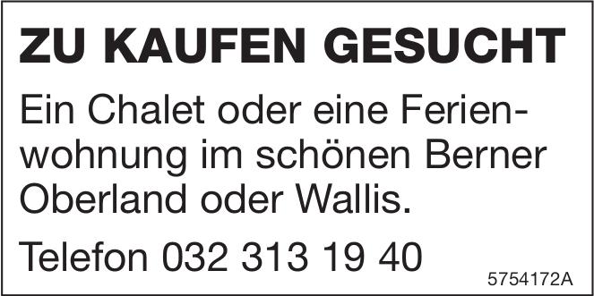 Ein Chalet oder eine Ferienwohnung im schönen Berner Oberland oder Wallis., zu kaufen gesucht