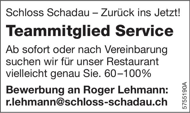 Teammitglied Service, Schloss Schadau, Gesucht