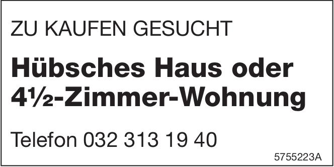 Hübsches Haus oder 4½-Zimmer-Wohnung, zu kaufen gesucht