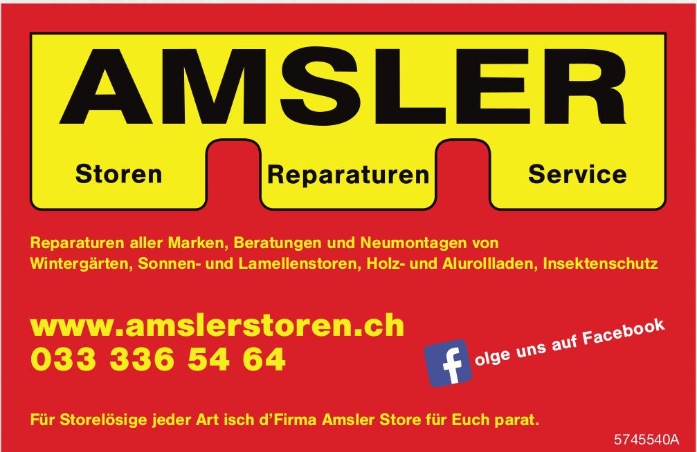 Amsler Storen, Reparaturen aller Marken, Beratungen und Neumontagen von Storen