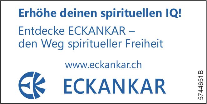 Eckankar, Erhöhe deinen spirituellen IQ! Entdecke ECKANKAR – den Weg spiritueller Freiheit