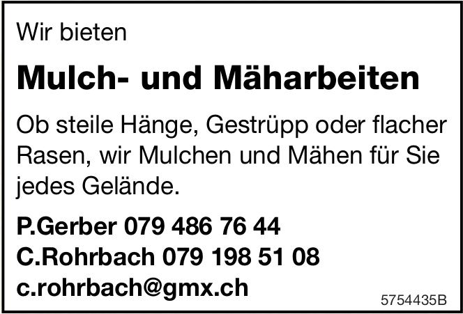 Mulch- und Mäharbeiten