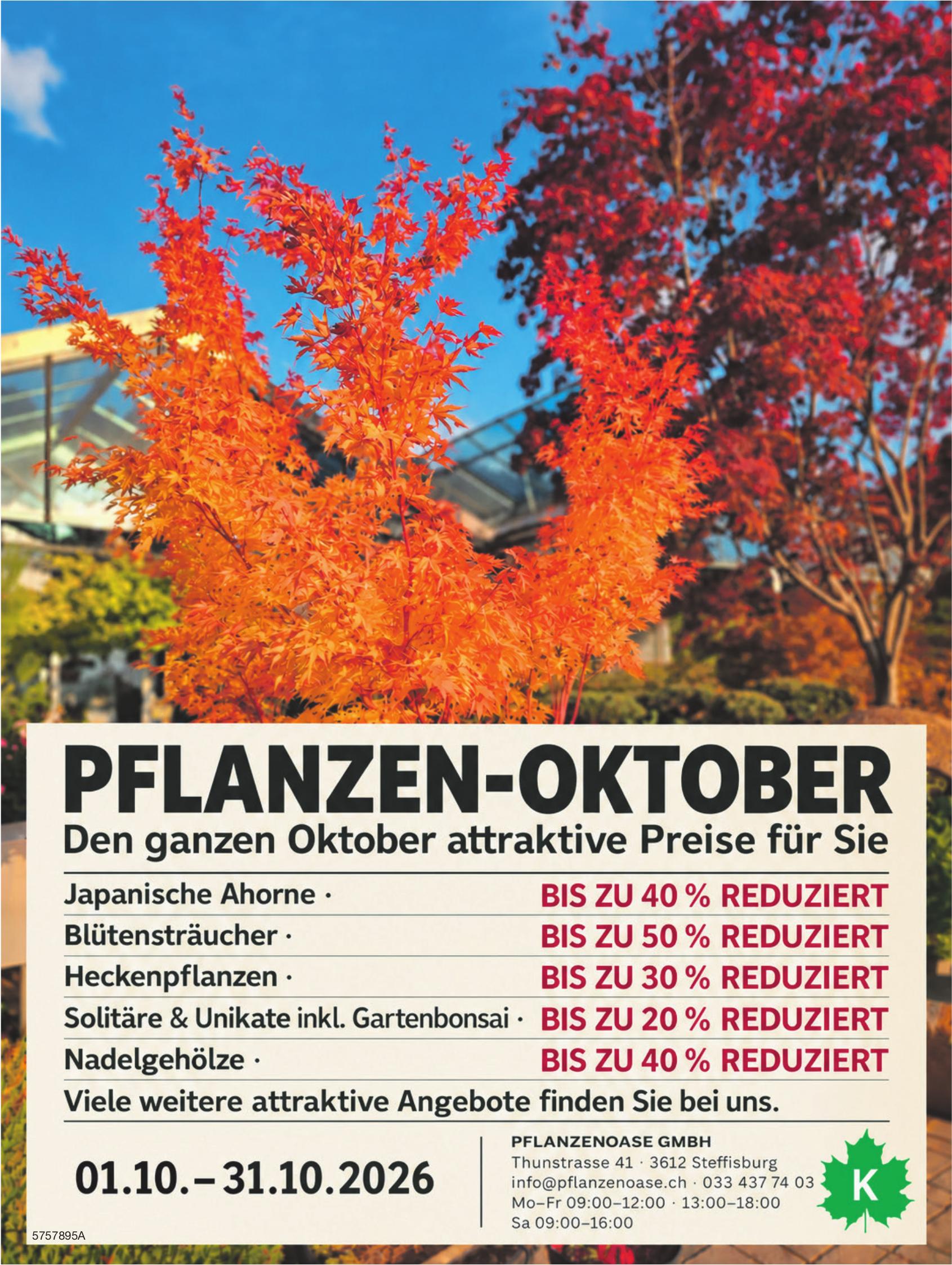 PFLANZENOASE GMBH, Steffisburg - Den ganzen Oktober attraktive Preise für Sie