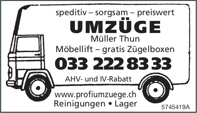 UMZÜGE Müller Thun, speditiv – sorgsam – preiswert