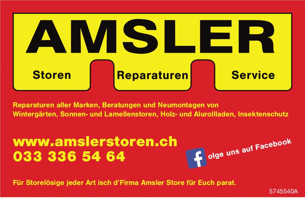 Amsler Storen, Reparaturen aller Marken, Beratungen und Neumontagen von Storen