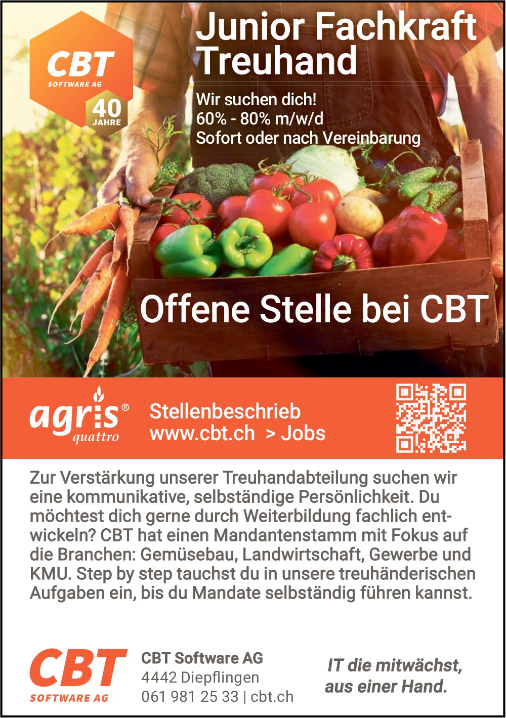 Junior Fachkraft Treuhand, CBT Software AG, Diepflingen, Gesucht