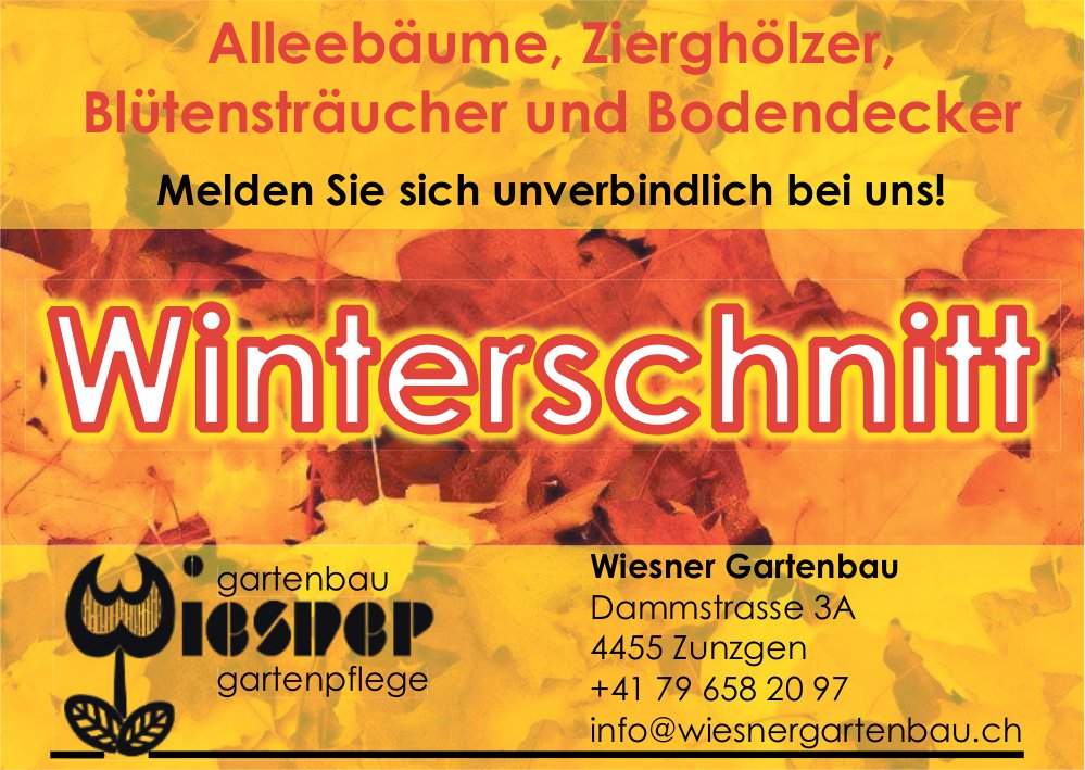 Wiesner Gartenbau, Zunzgen - Winterschnitt