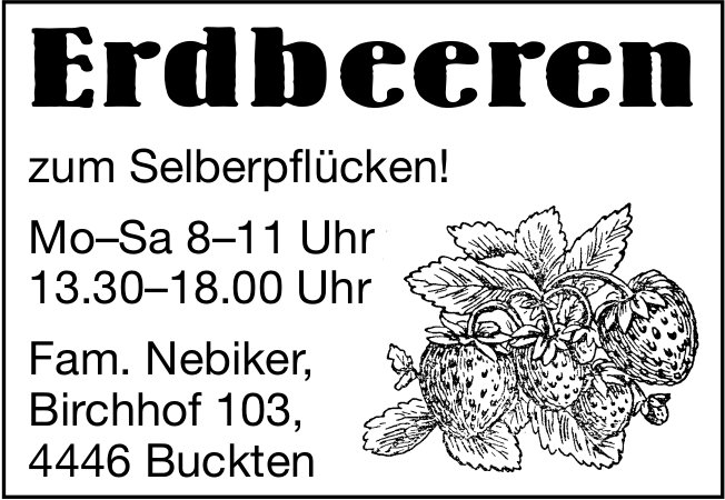 Fam. Nebiker, Buckten - Erdbeeren zum Selberpflücken