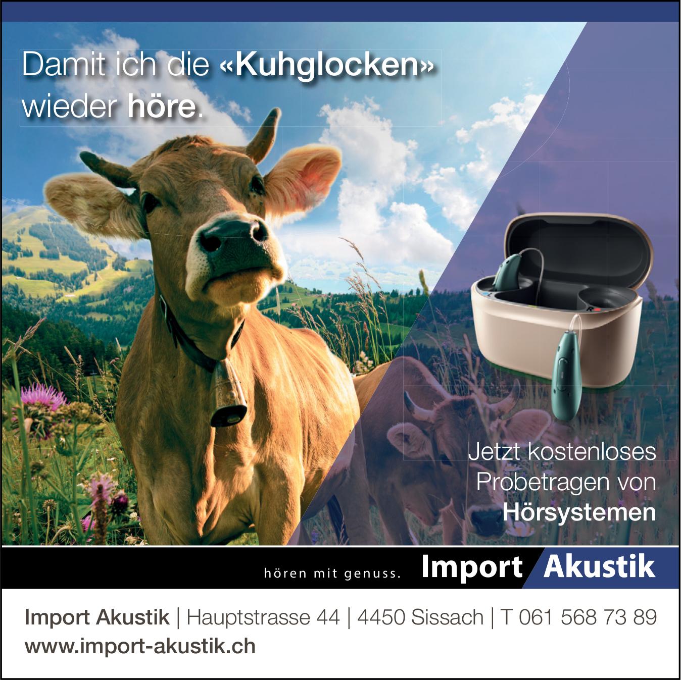 Import Akustik, Sissach - Damit ich die «Kuhglocken» wieder höre.