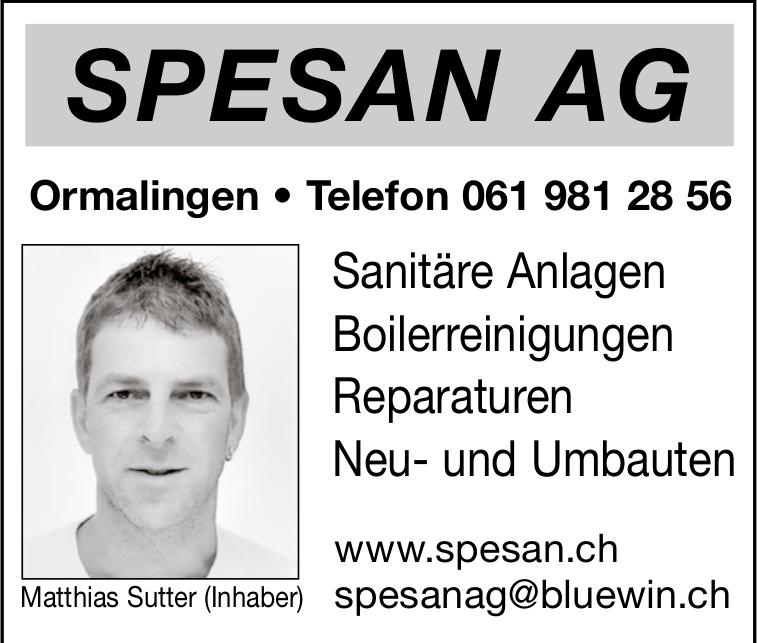 Spesan AG, Ormalingen - Sanitäre Anlagen, Boilerreinigungen,  Reparaturen,  Neu- und Umbauten