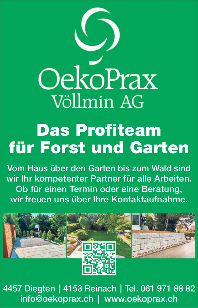 OekoPrax Völlmin AG, Reinach - Das Profiteam für Forst und Garten