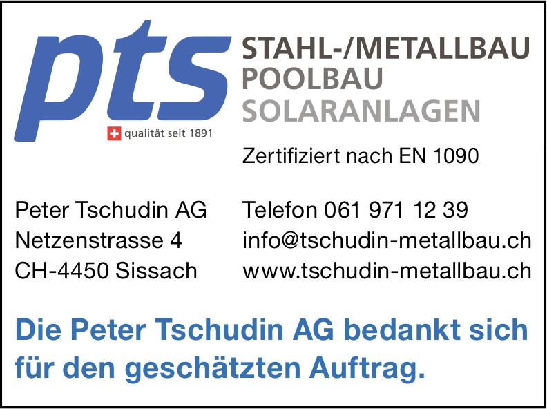 Peter Tschudin AG, Sissach - Stahl-/Metallbau