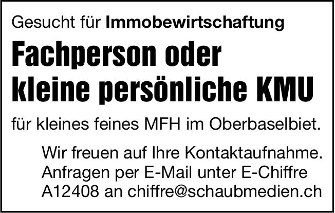 Fachperson oder kleine persönliche KMU, Sucht