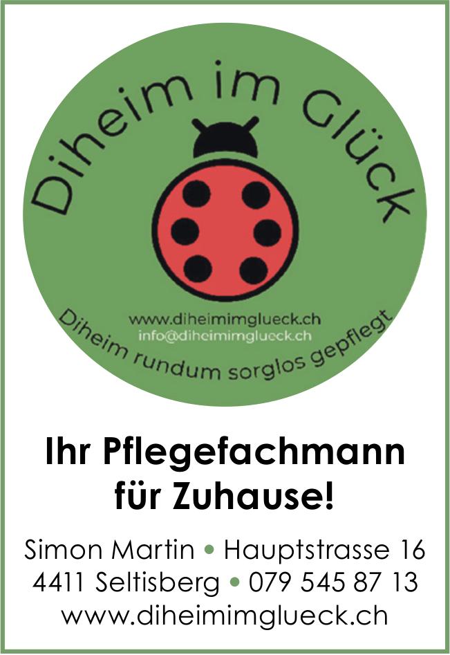 Simon Martin, Seltisberg - Ihr Pflegefachmann für Zuhause!