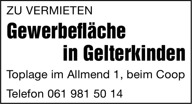 Gewerbefläche, Gelterkinden, zu vermieten