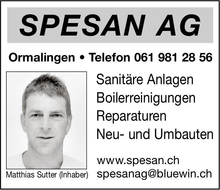 Spesan AG, Ormalingen - Sanitäre Anlagen, Boilerreinigungen,  Reparaturen,  Neu- und Umbauten