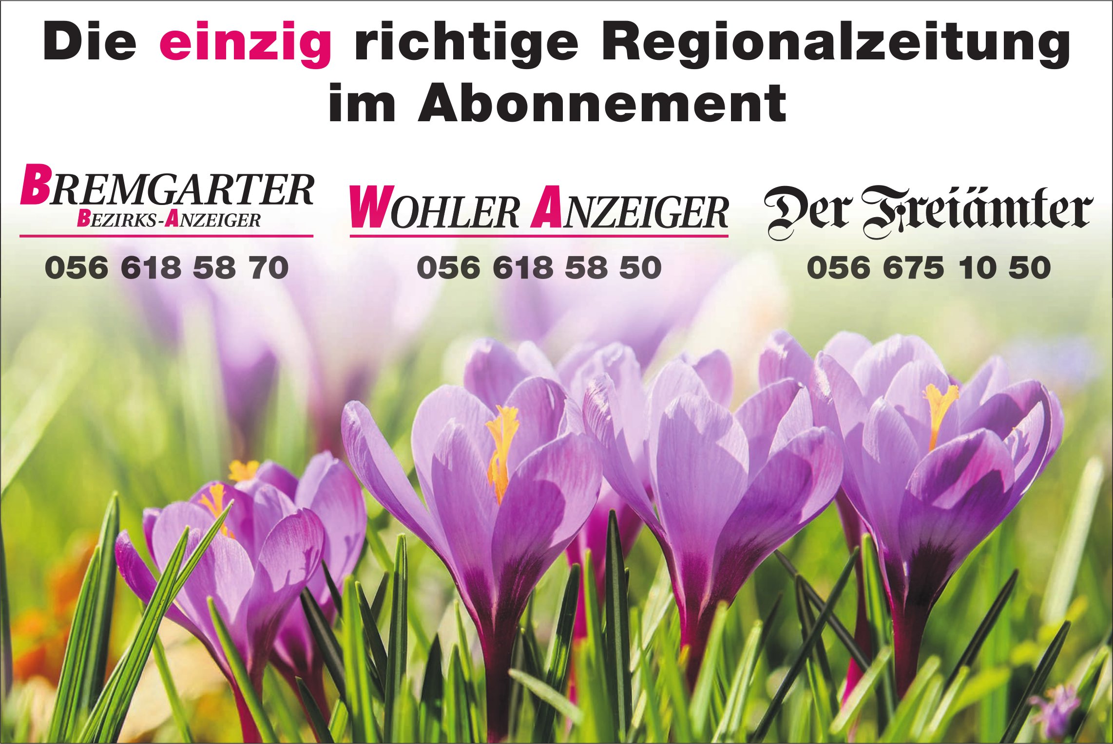 BBA/WA/Der Freiämter, Die einzig richtige Regionalzeitung im Abonnement