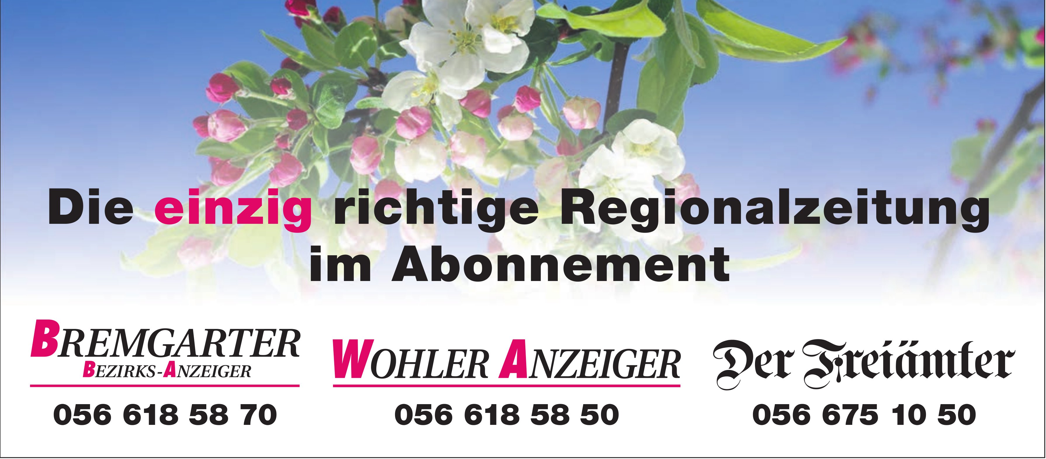 BBA/WA/Der Freiämter, Die einzig richtige Regionalzeitung im Abonnement