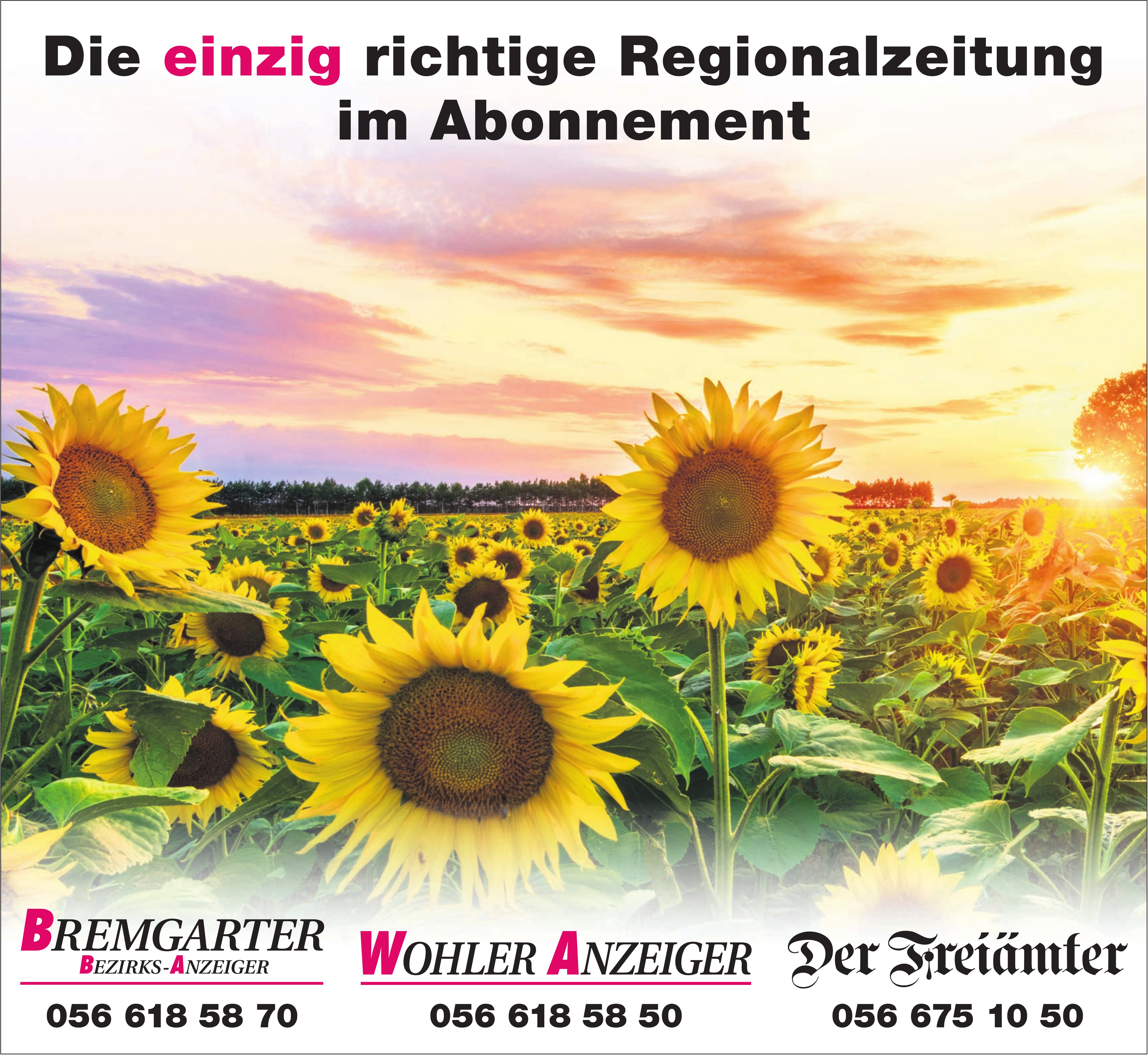 BBA / WA / Der Freiämter, Die einzig richtige Regionalzeitung im Abonnement