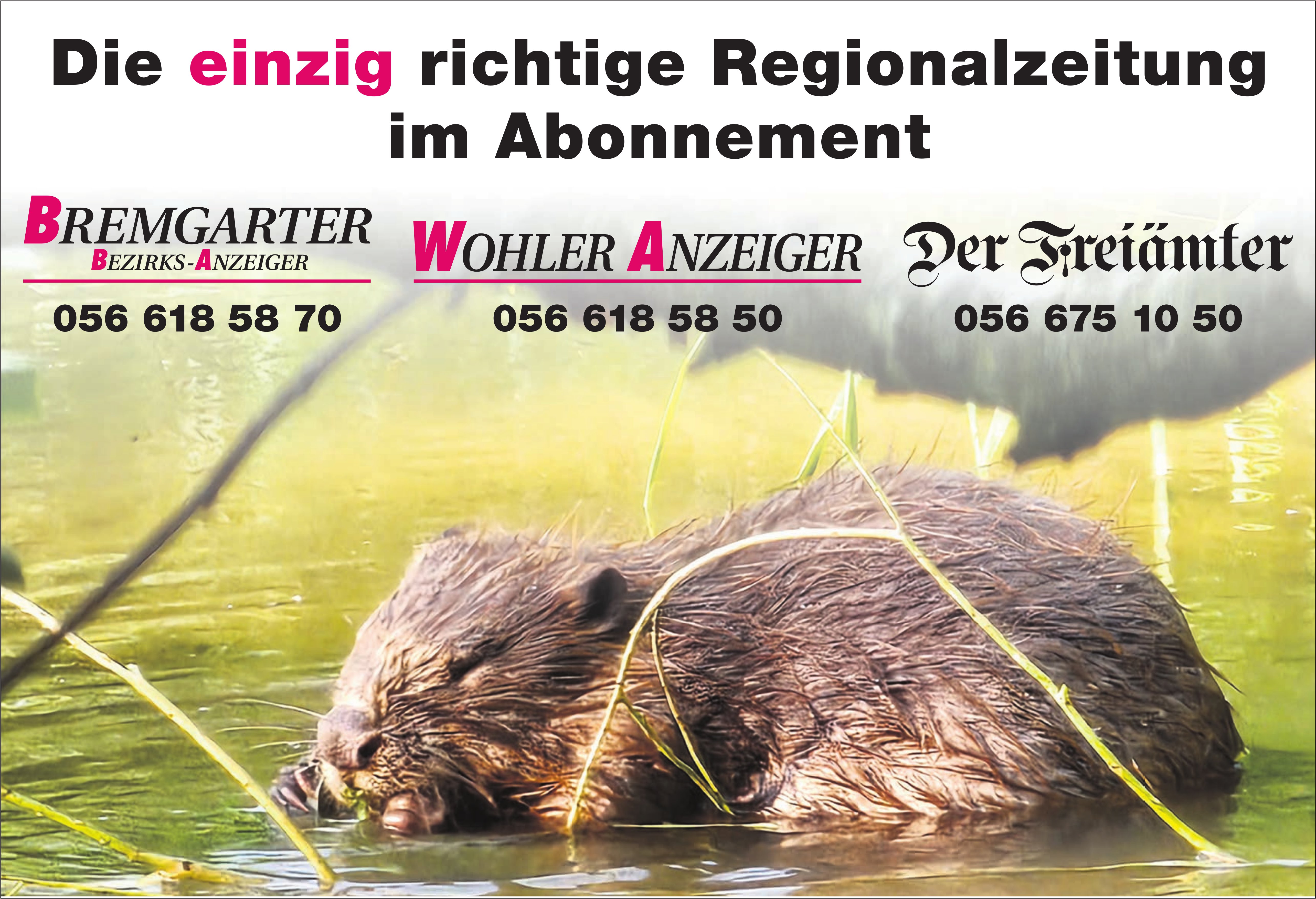 BBA / WA / Der Freiämter, Die einzig richtige Regionalzeitung im Abonnement