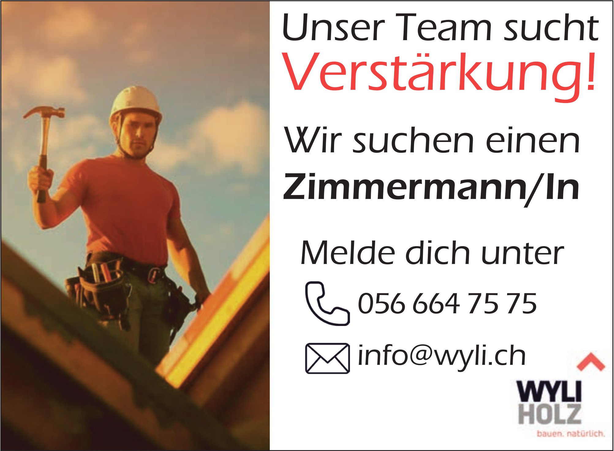 Zimmermann/In, Wyli Holz, gesucht