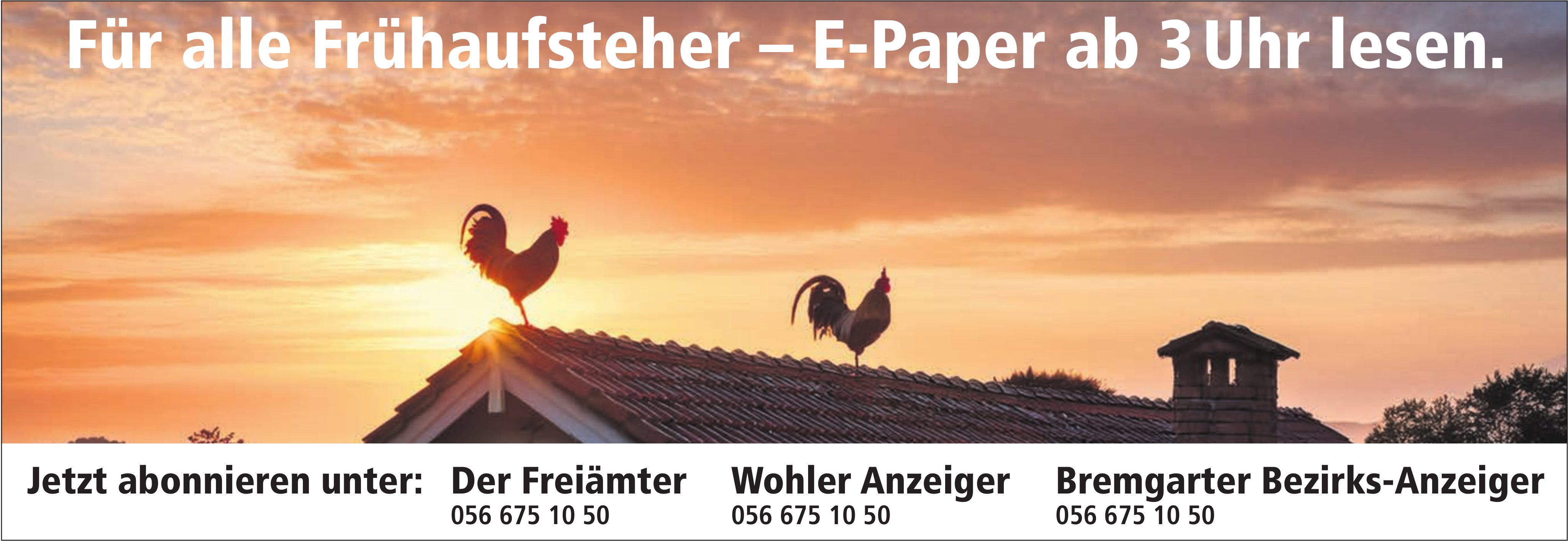 Für alle Frühaufsteher – E-Paper ab 3 Uhr lesen, Der Freiämter / WA / BBA