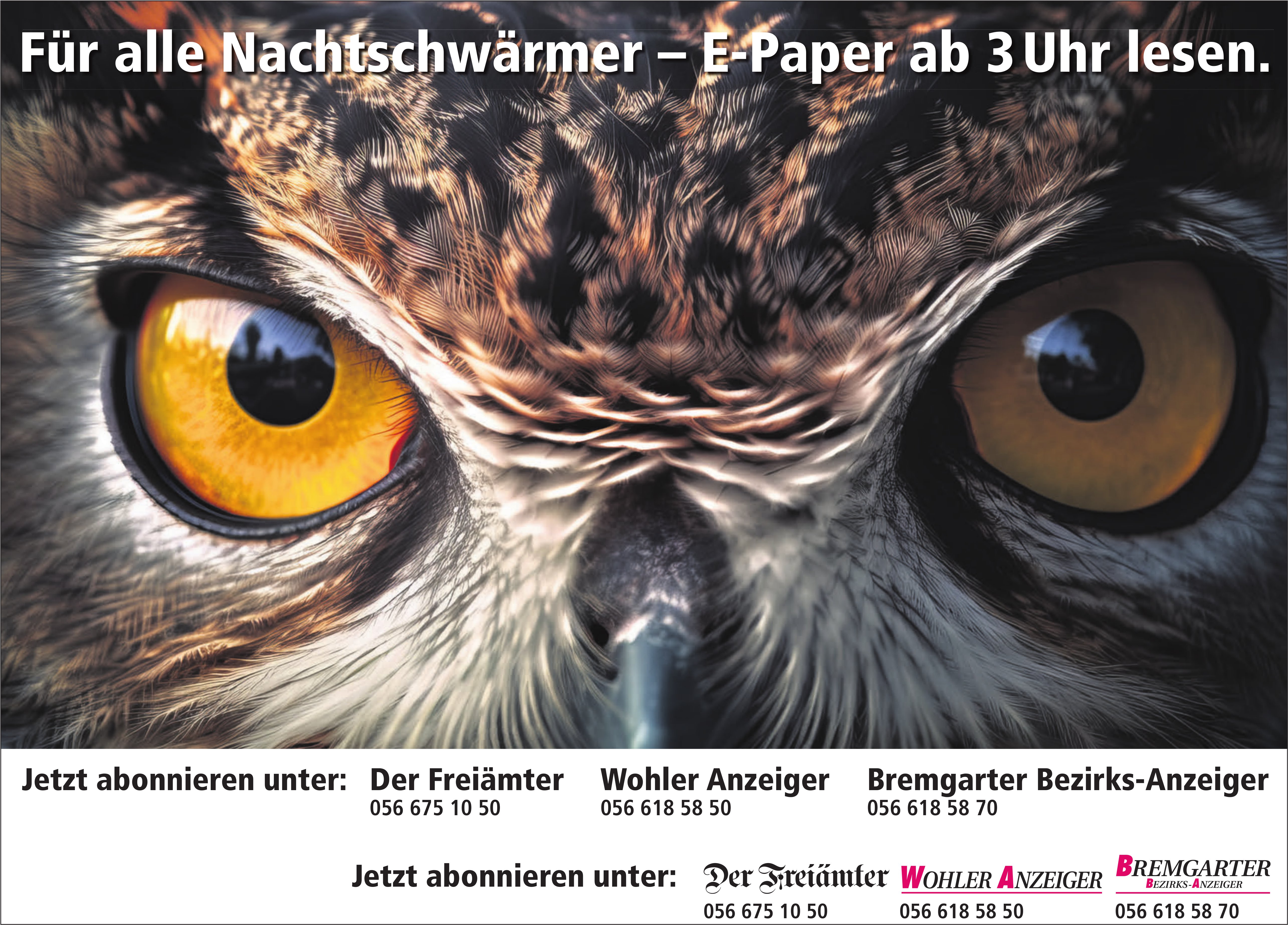 Der Freiämter / WA / BBA, Für alle Nachtschwärmer – E-Paper ab 3 Uhr lesen