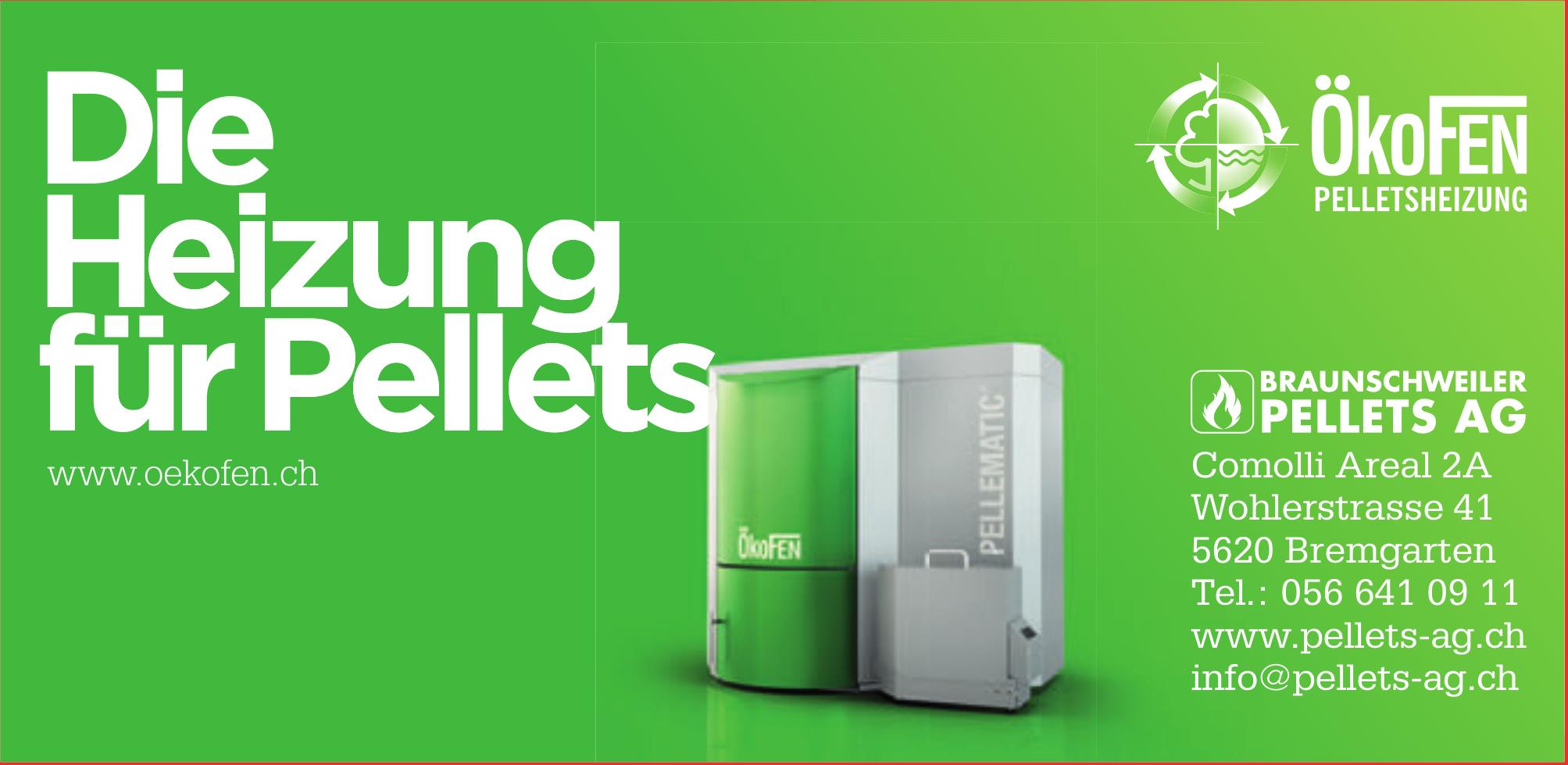 Braunschweiler Pellets AG, Bremgarten - ÖkoFEN, Die Heizung für Pellets