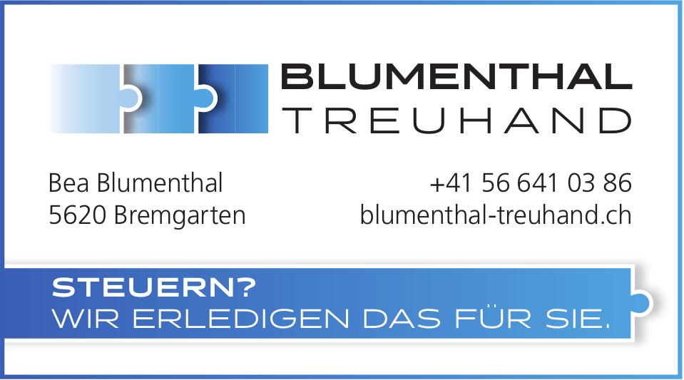 Blumenthal Treuhand, Bremgarten - Steuern? Wir erledigen das für Sie