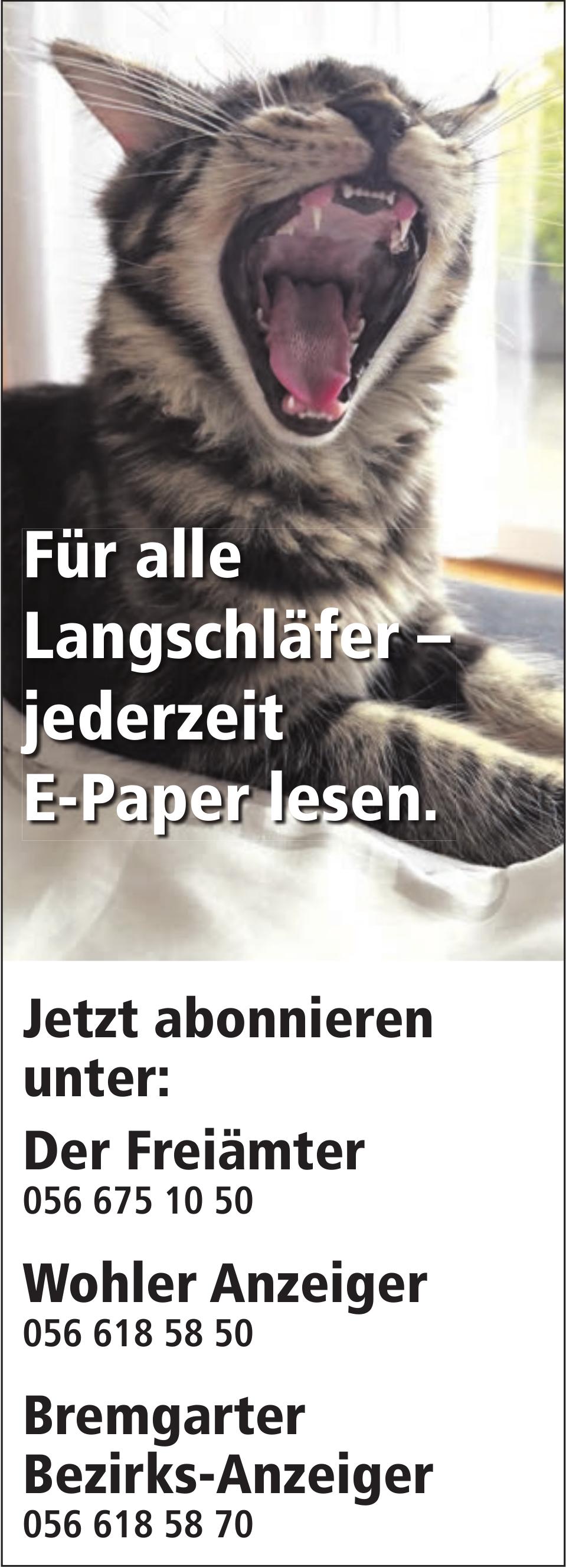 Der Freiämter / WA / BBA, Für alle Langschläfer – jederzeit E-Paper lesen