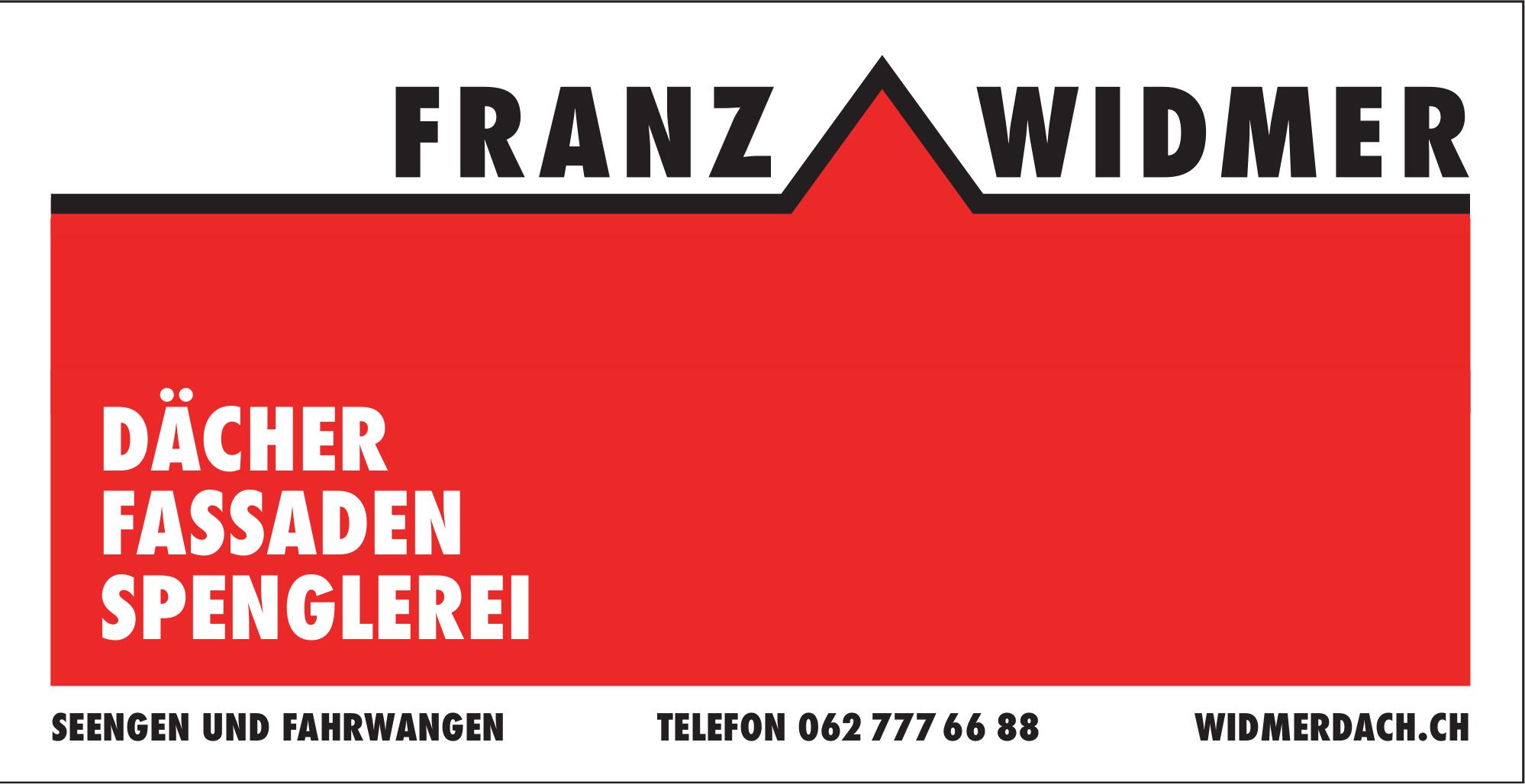 Franz Widmer, Seengen und Fahrwangen - Dächer, Fassaden und Spenglerei