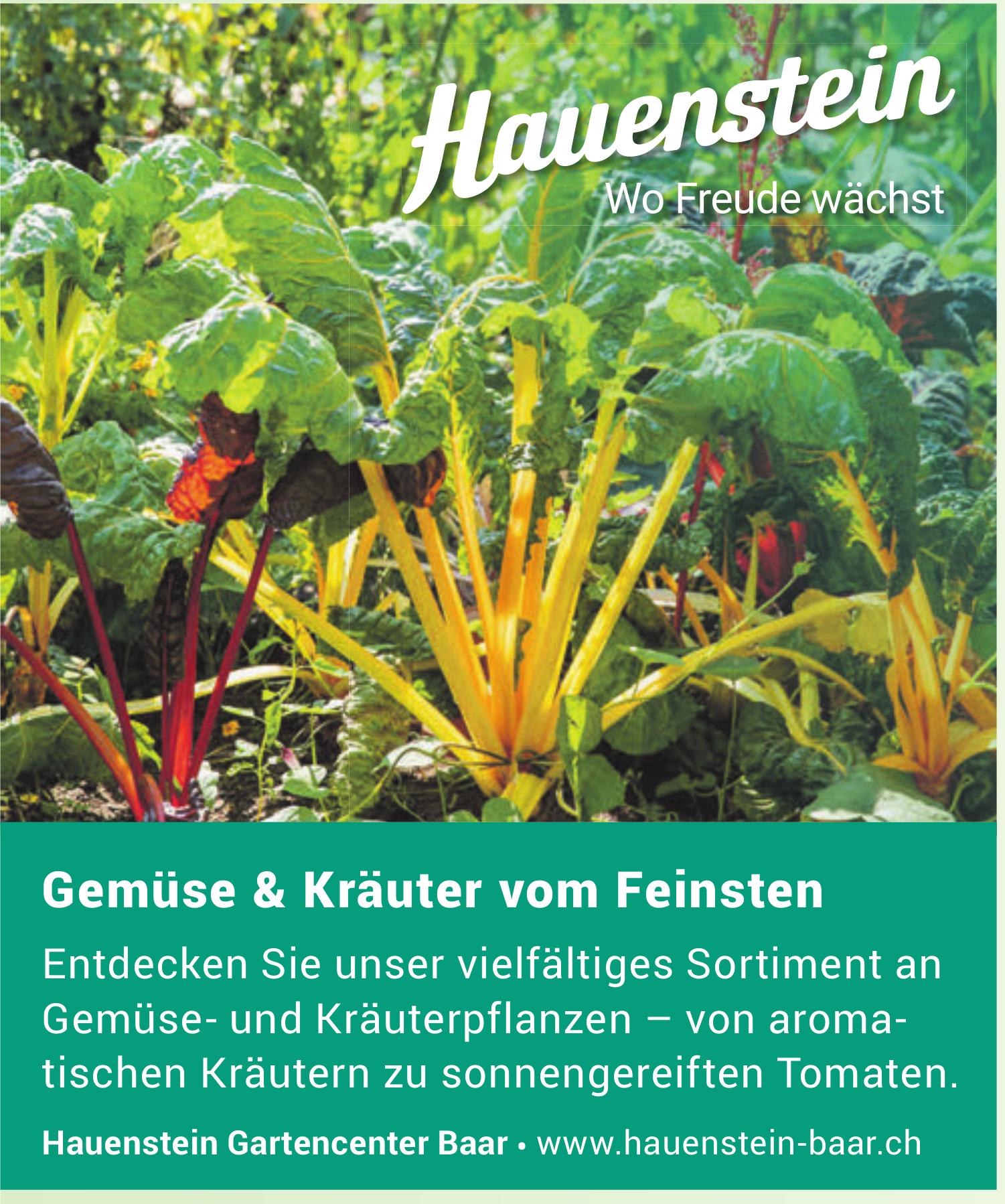 Hauenstein Gartencenter Baar, Gemüse & Kräuter vom Feinsten