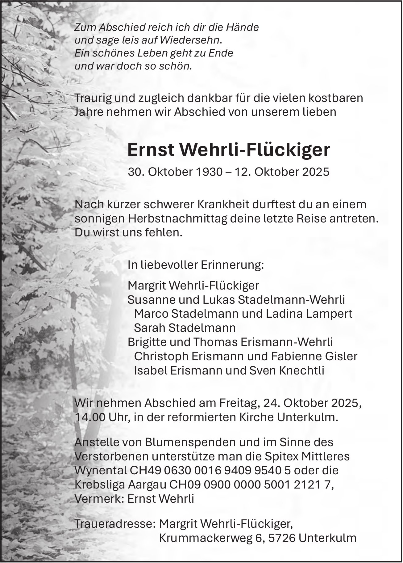 Wehrli-Flückiger Ernst, Oktober 2025 / TA