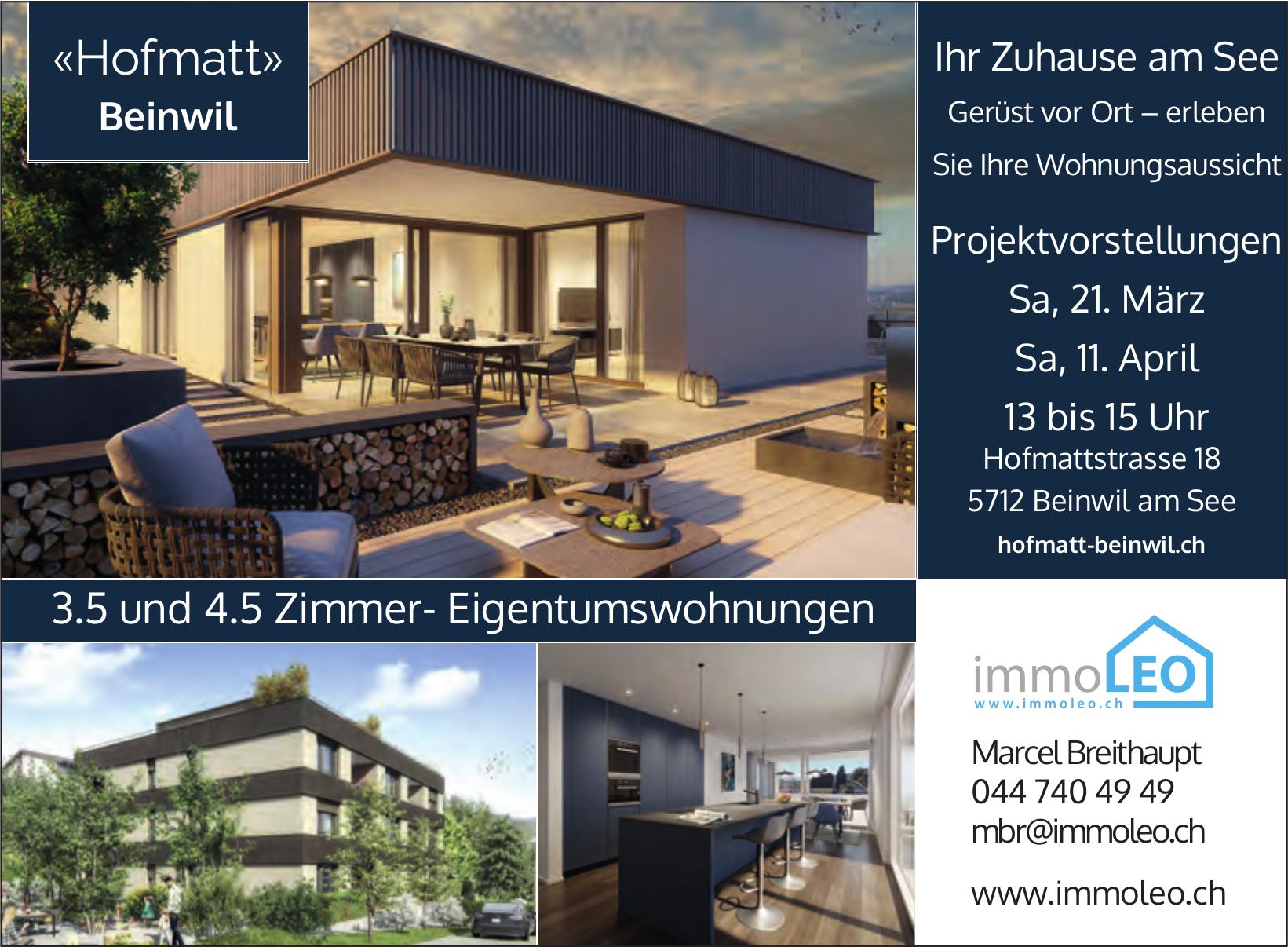 3.5 und 4.5 Zimmer- Eigentumswohnungen, Beinwil Am See, zu verkaufen