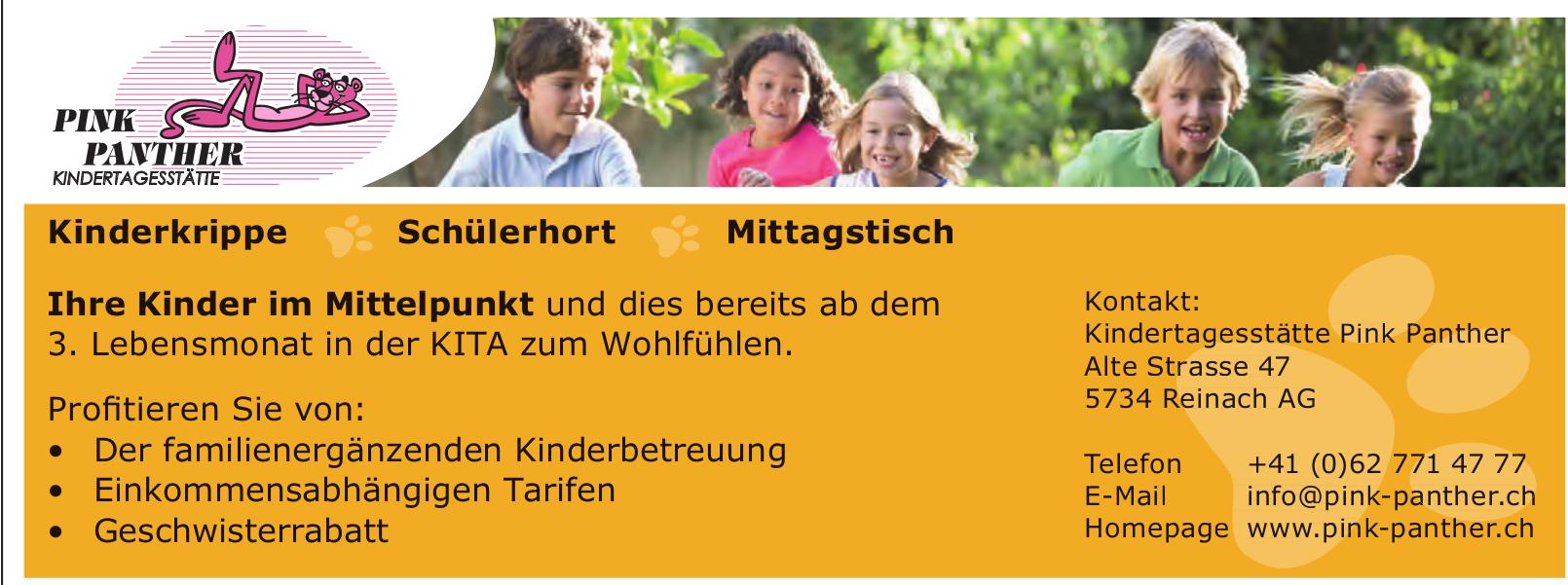 Kindertagesstätte Pink Panther, Reinach Ag - Ihre Kinder im Mittelpunkt