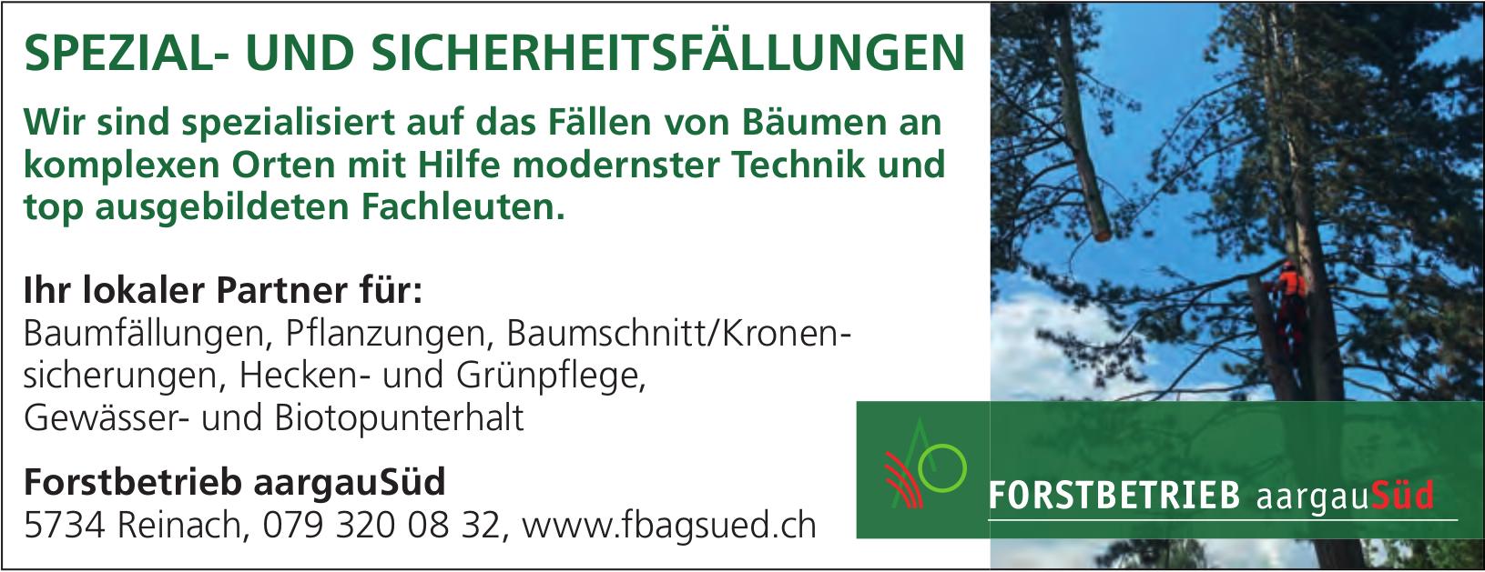Forstbetrieb aargauSüd, Reinach - SPEZIAL- UND SICHERHEITSFÄLLUNGEN
