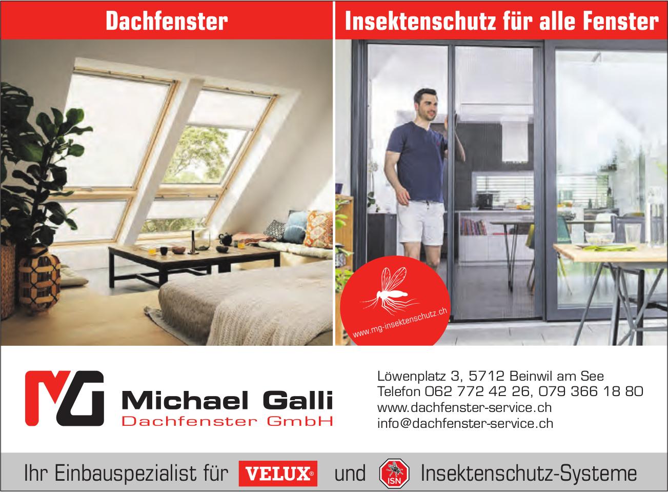 Michael Galli Dachfenster GmbH, Beinwil Am See - Dachfenster