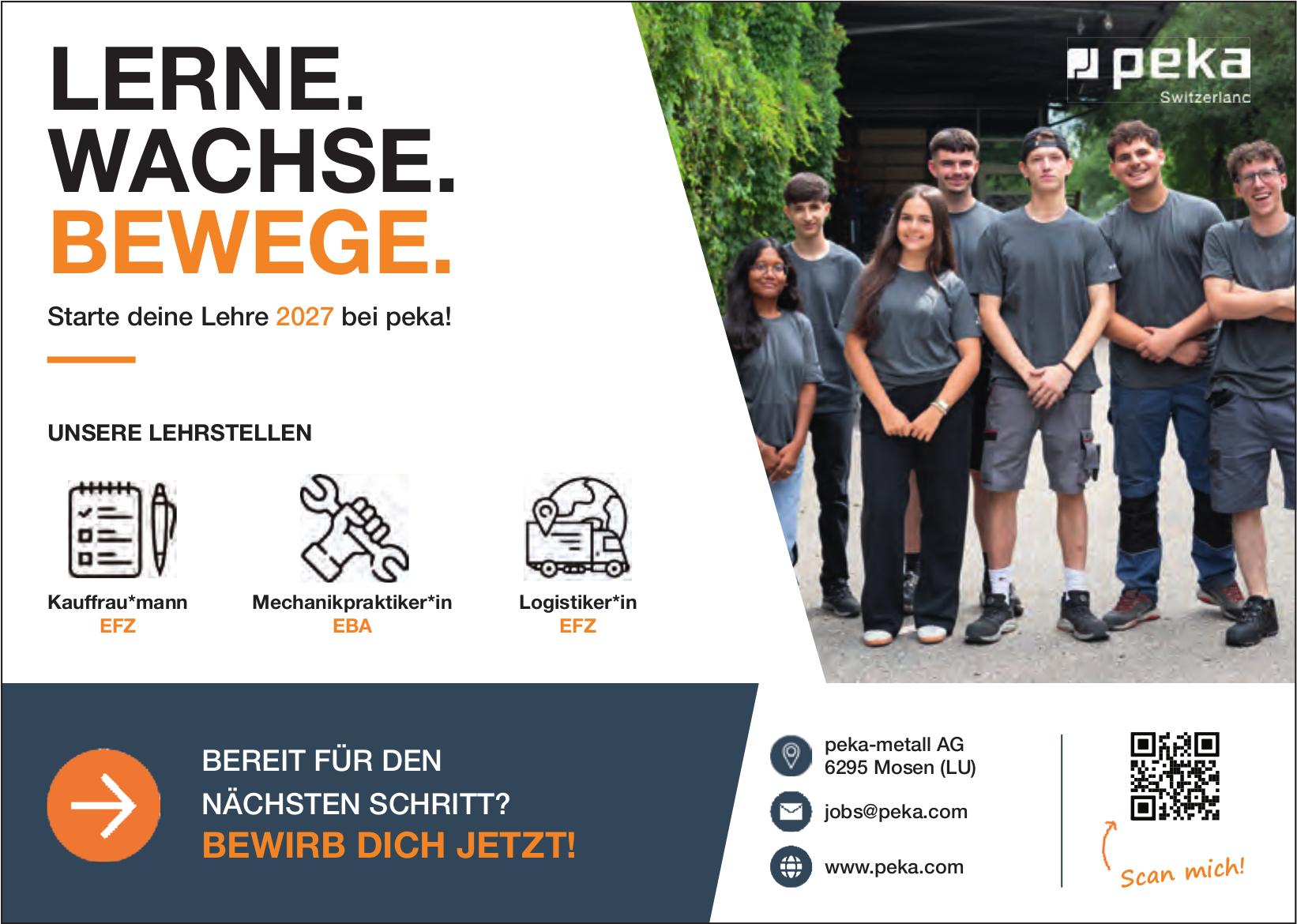 Kauffrau*mann EFZ, peka-metall AG, Mosen, Gesucht