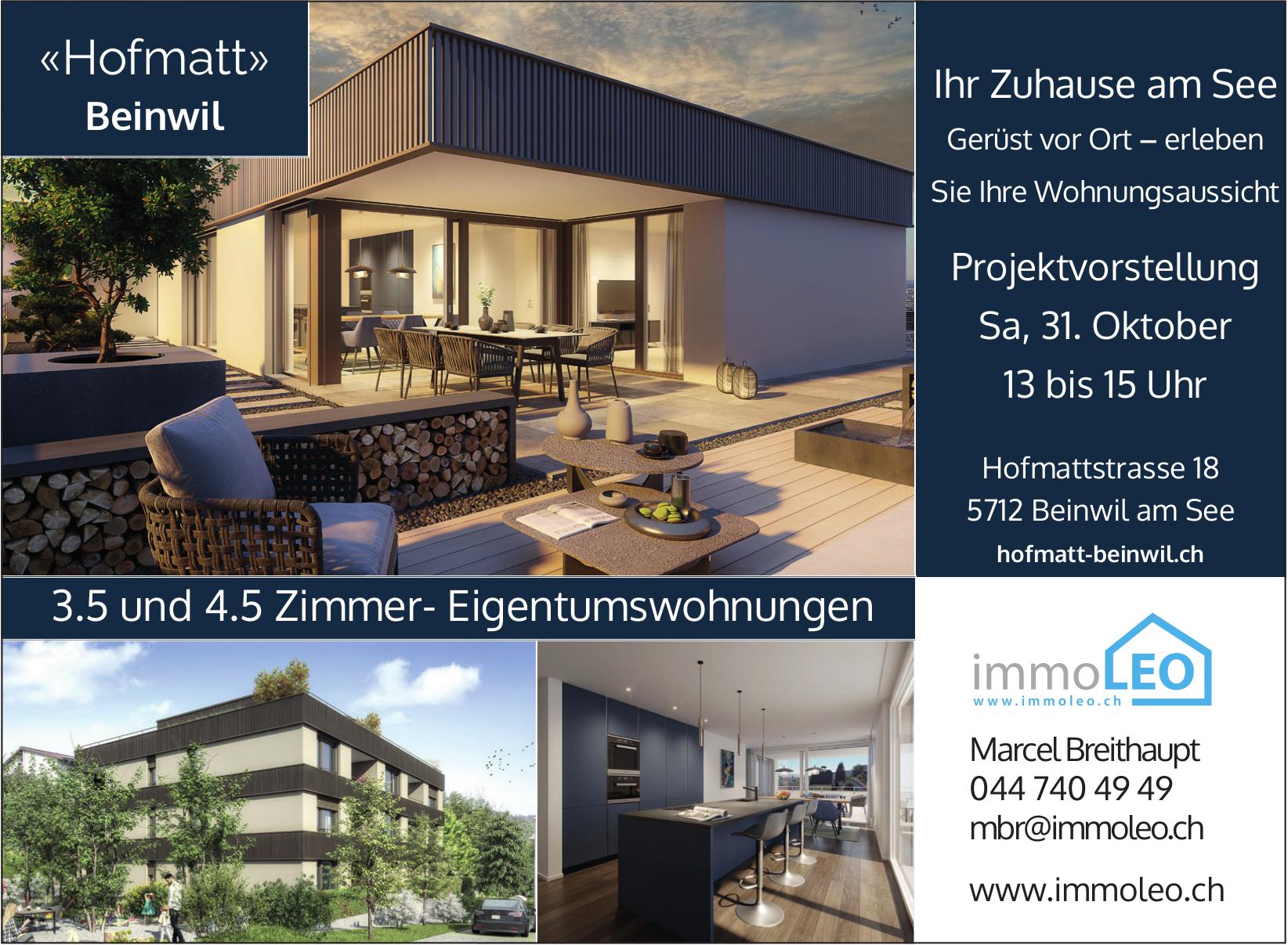 3.5 und 4.5 Zimmer-Eigentumswohnungen, Beinwil Am See